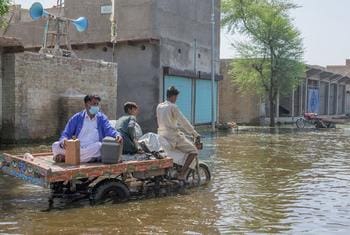 Public well being dangers growing in flood-affected Pakistan: WHO